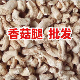 中原风味的技术革新 河南特产香菇酱的深加工与实践指南